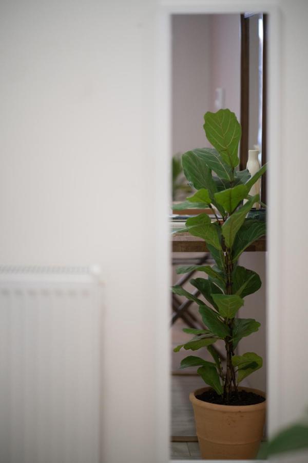 1Br Athenian Serenity 15 Minutes From Acropolis Athens Ngoại thất bức ảnh